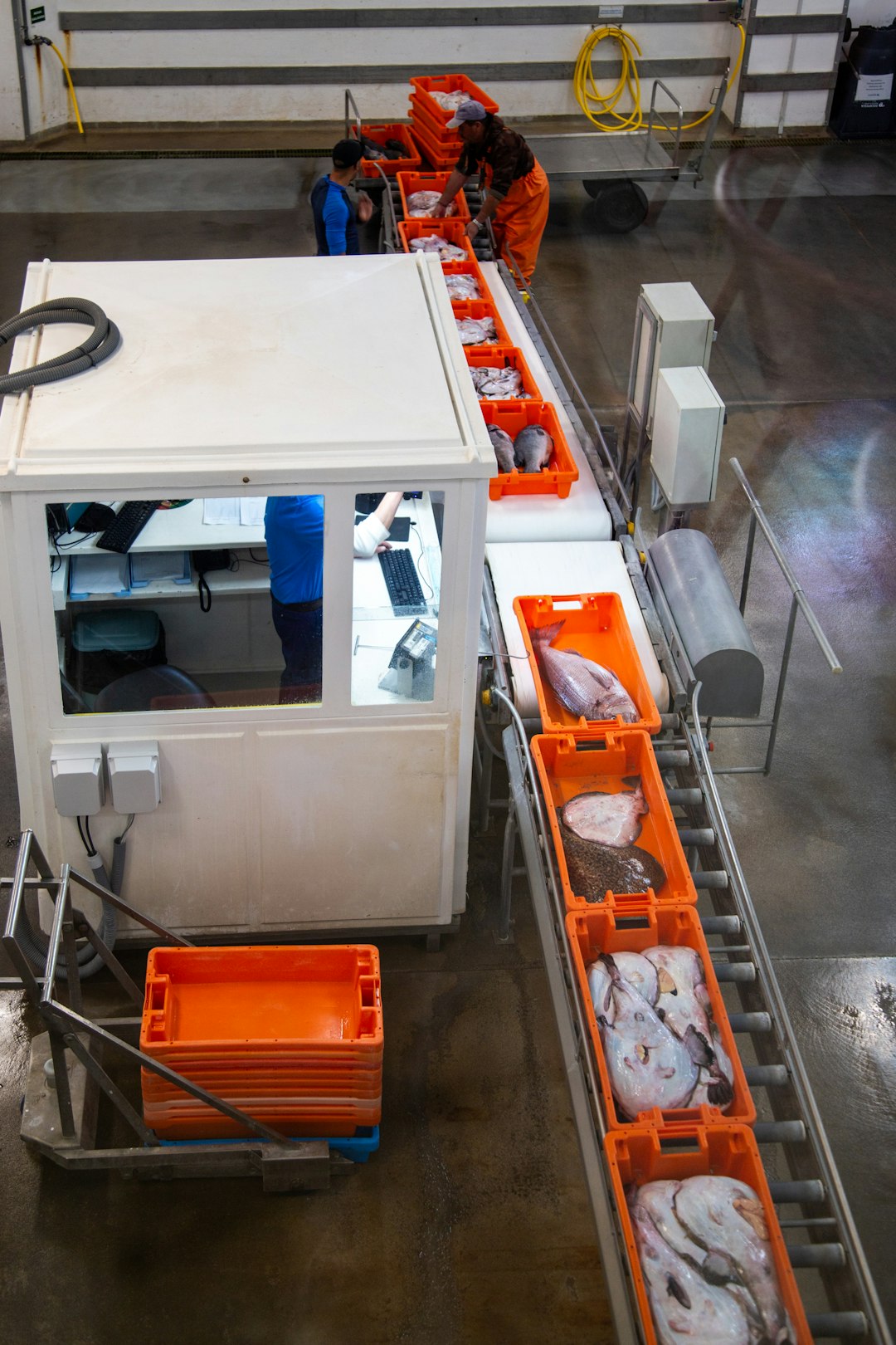 quality inspection related to needle grinding tolerance